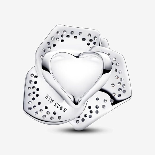 61Cs8767NPL._AC_SX679.jpg Charm Plata 925 - extragrande Rosa brillante en flor