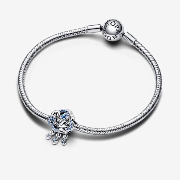 792569C01_V3_RGB.jpg Charm Plata 925 -  de nube y golondrina