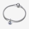792570C01_V3_RGB.jpg Charm Plata 925 - Colgante Doble Golondrina Brillante