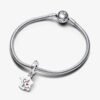792673C01_V3_RGB.jpg Charm Plata 925 - colgante C'est La Vie - Así es la vida