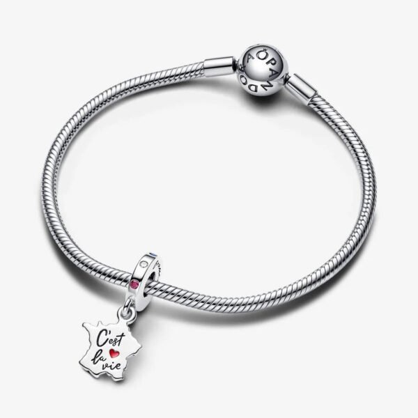 792673C01_V3_RGB.jpg Charm Plata 925 - colgante C'est La Vie - Así es la vida