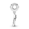 799320C01_V3.png Charm Plata 925 - Colgante Paleta De Artista