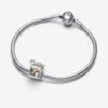 C149.1.jpg Charm Plata 925 - Casa de Jengibre