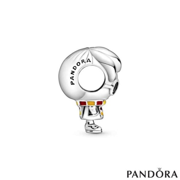 Charm Plata 925 -  Harry Potter