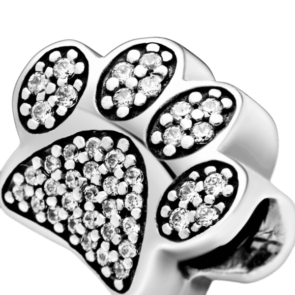 Charm Plata 925 - Huella Patita Perro