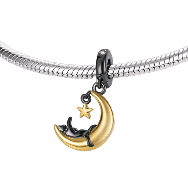Charm Plata 925 - colgante gato en luna